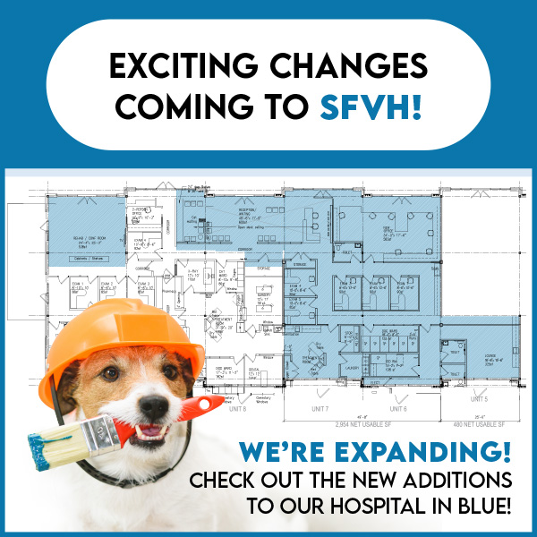 We're Expanding our Veterinary Clinic